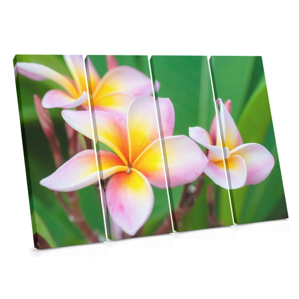 Λευκό Μπουκέτο Plumeria Καμβάς