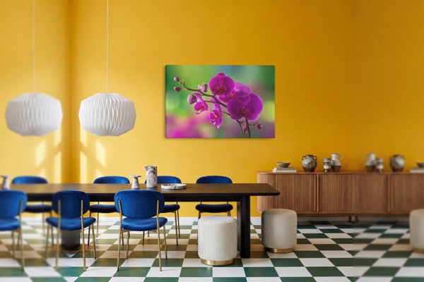 Plátno Fialový Kvet Orchidey - na stene v interiéri