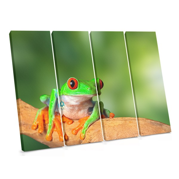 Curious Tree Frog on Branch Canvas Print