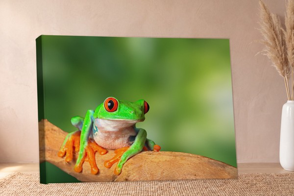 Ziņkstošā koka vardes audekla prints - uz sienas telpā