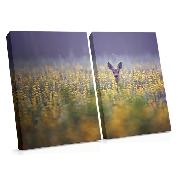Stirnu skaits pļavā - audekla prints