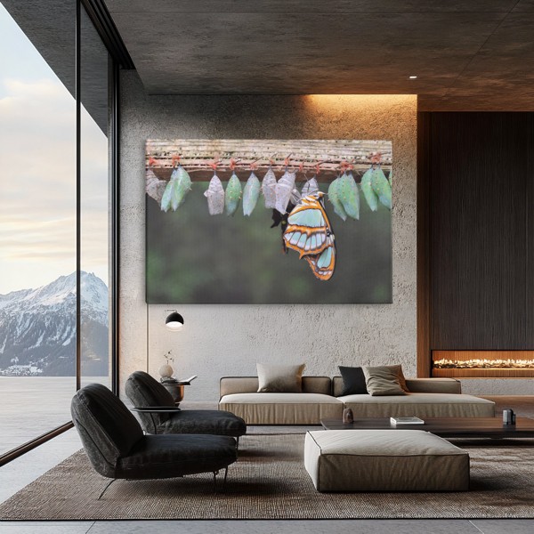 Tablou Canvas Metamorfoza Fluturelui - pe perete într-un interior