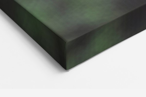 Tablou Canvas Metamorfoza Fluturelui - pe perete într-un interior