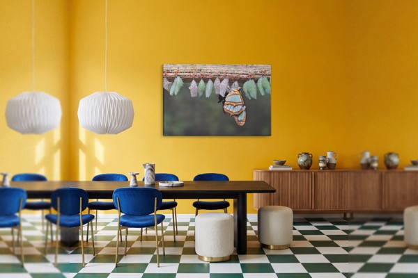 Tablou Canvas Metamorfoza Fluturelui - pe perete într-un interior