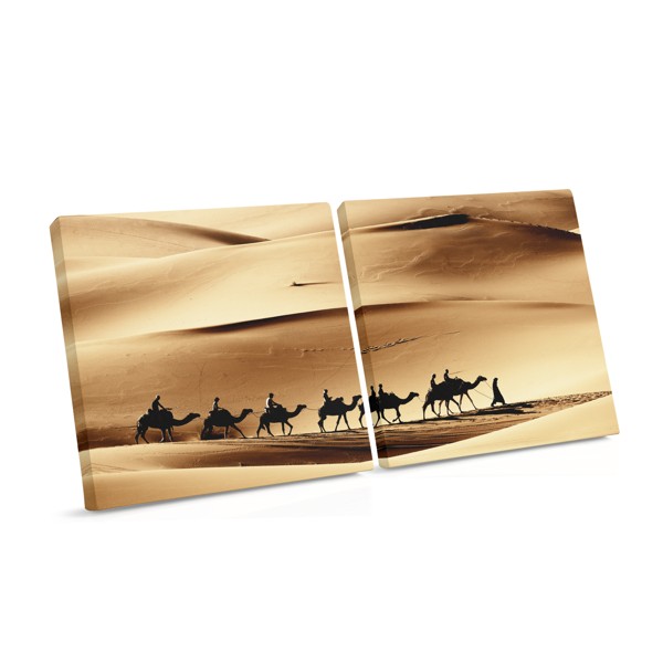 Camel Caravan in Desert Wilderness Canvas Print