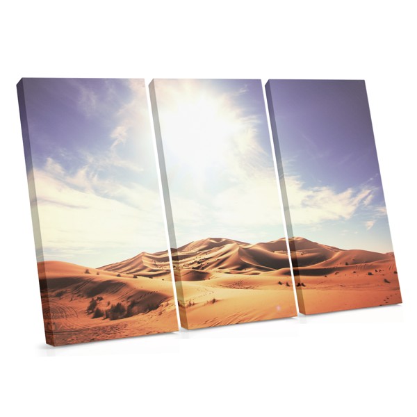 Ökenduner Under Golden Sun Canvas Print
