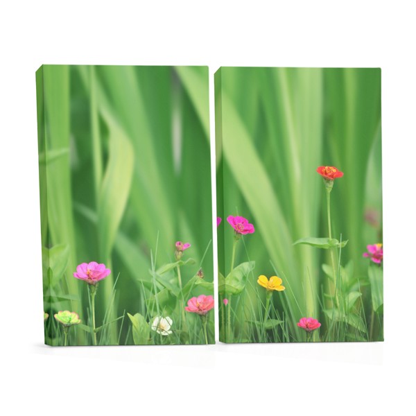 Little Flowers Meadow Canvas Print