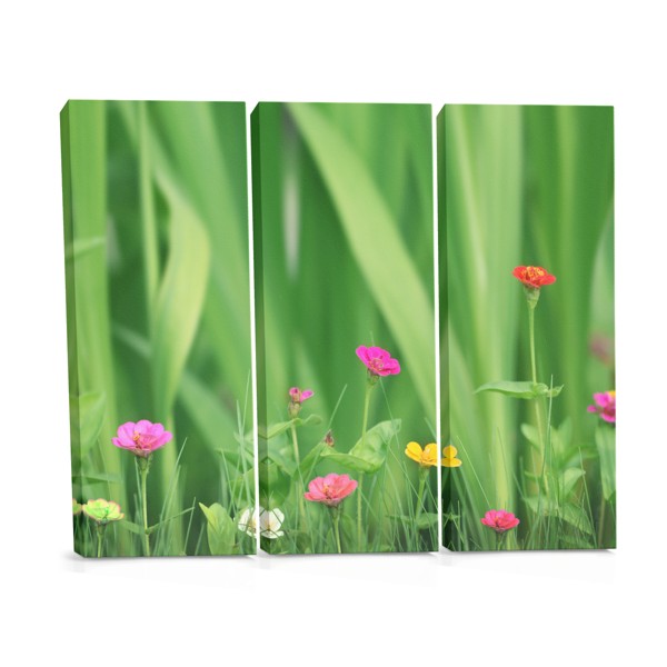Little Flowers Meadow Canvas Print