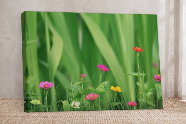 Καμβάς Εκτύπωση Little Flowers Meadow - στον τοίχο σε εσωτερικό χώρο