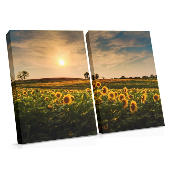 Sunflower Field at Dusk Canvas Print