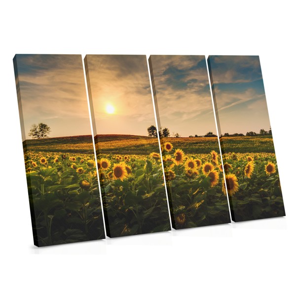 Sunflower Field at Dusk Canvas Print