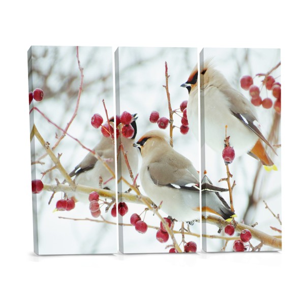 Two Birds in Snow Winter Scene Canvas Print