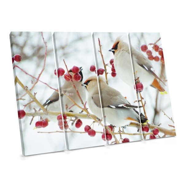 Two Birds in Snow Winter Scene Canvas Print
