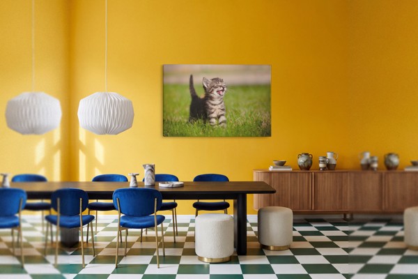 Meadow Cat Leinwanddruck - Einzelnes Panel - an der Wand in einem Raum