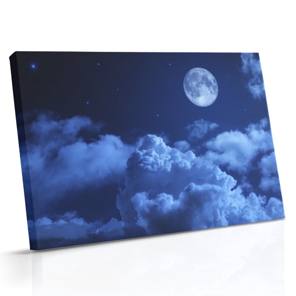 Lunar Charm Night Sky Canvas Print