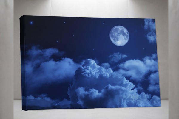 Lunar Charm Night Sky Canvas Print - on the wall in a room interior