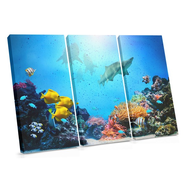 Seafarers Canvas Print - Underwater Fish School