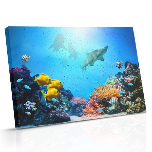 Seafarers Canvas Print - Underwater Fish School