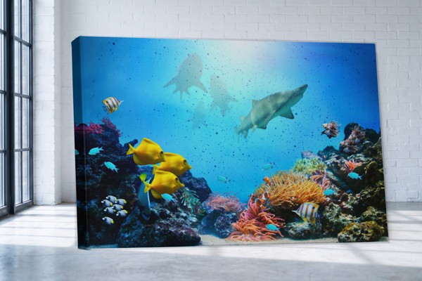 Seafarers Canvas Print - Underwater Fish School - on the wall in a room interior