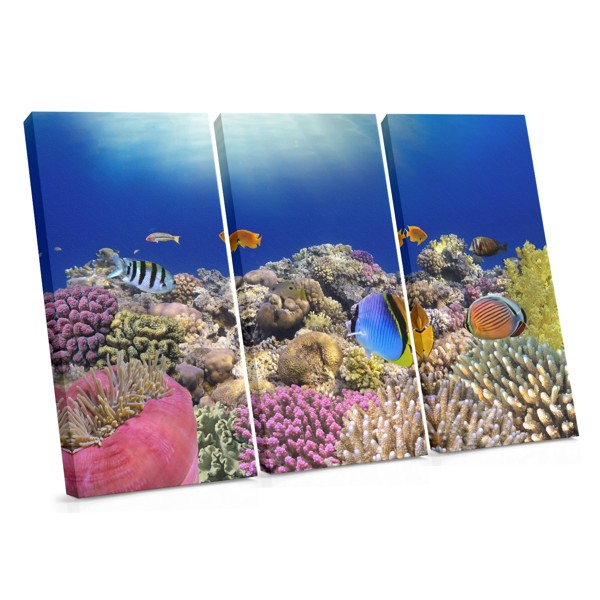 Underwater Fish School Canvas Print