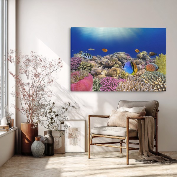 Onderwater Visschool Canvas Print - aan de muur in een interieur