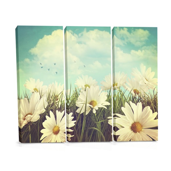 Spring Meadow with Wildflowers Canvas Print