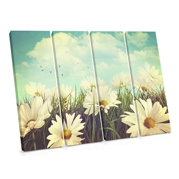 Spring Meadow with Wildflowers Canvas Print