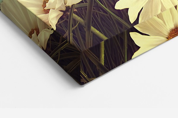 Spring Meadow with Wildflowers Canvas Print - on the wall in a room interior