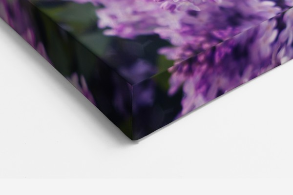 Seringen in zonlicht canvas print - aan de muur in een interieur