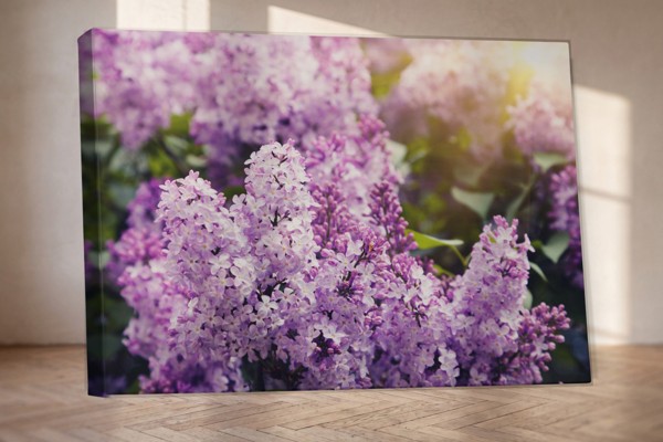 Seringen in zonlicht canvas print - aan de muur in een interieur
