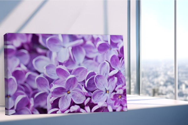 Toile Imprimée Champ de Fleurs Lilas - au mur dans un intérieur