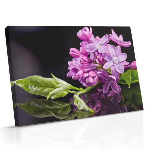 Lilac Bouquet Reflection Canvas Print