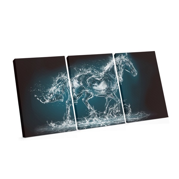 Dragonfly Over Water Canvas Print