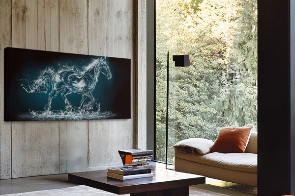 Dragonfly Over Water Canvas Print - on the wall in a room interior