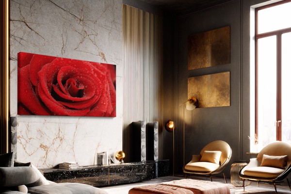 Impression sur Toile Rose avec Gouttes de Rosée - au mur dans un intérieur