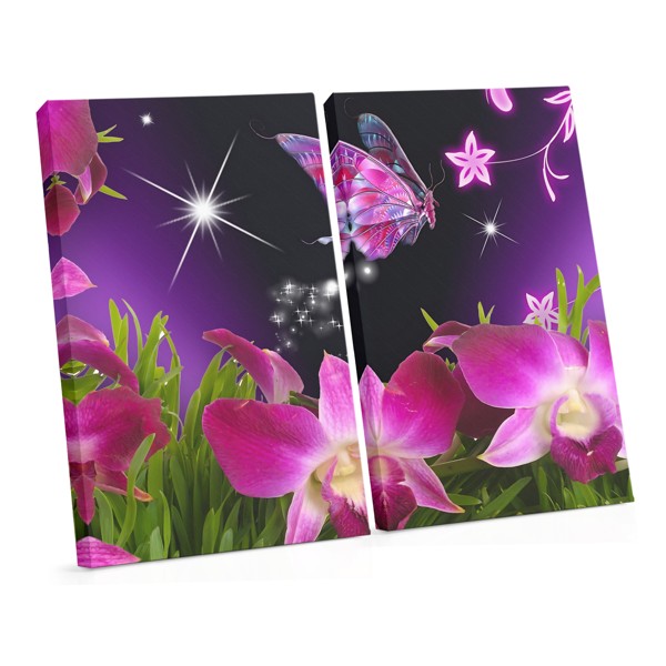 Orchid and Butterfly Canvas Print