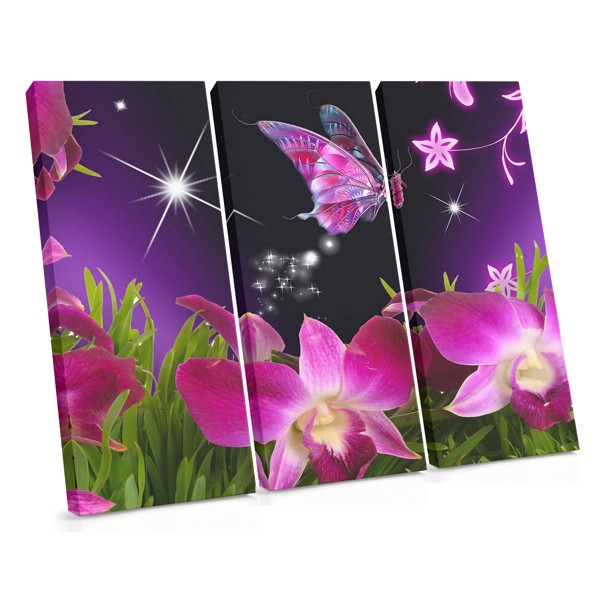 Orchid and Butterfly Canvas Print