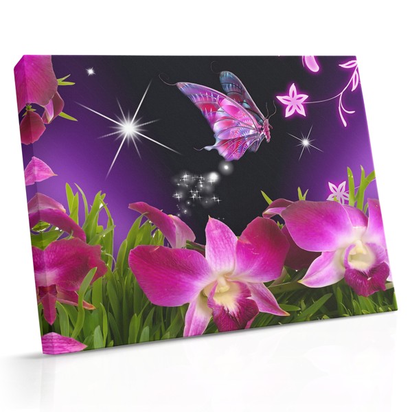 Orchid and Butterfly Canvas Print