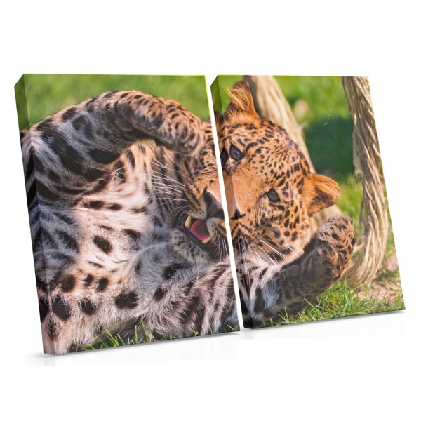 Portret leoparda na platnu