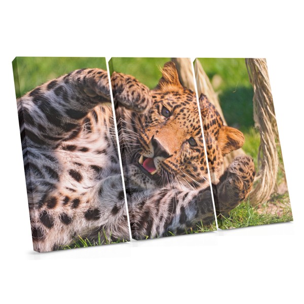 Leopard Portrait Canvas Print