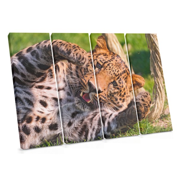 Leopard Portrait Canvas Print