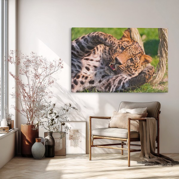 Leoparda portreta audekla prints - uz sienas telpā