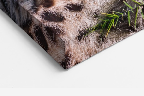 Leoparda portreta audekla prints - uz sienas telpā