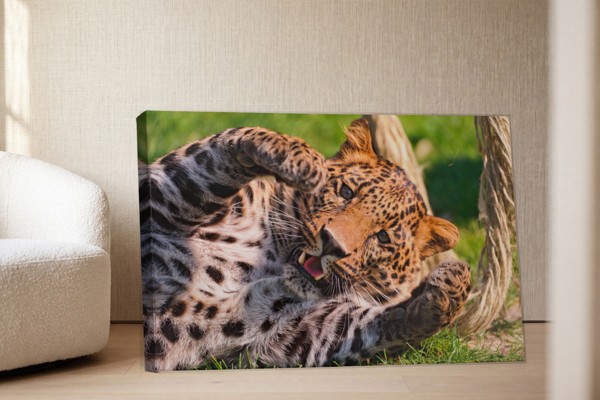 Leoparda portreta audekla prints - uz sienas telpā