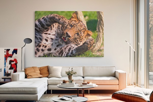 Leoparda portreta audekla prints - uz sienas telpā