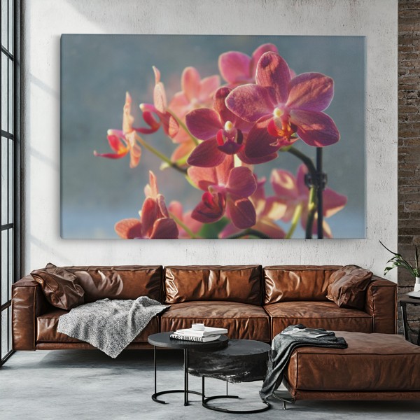 Tablou Canvas Buchet de Orhidee Alba - pe perete într-un interior