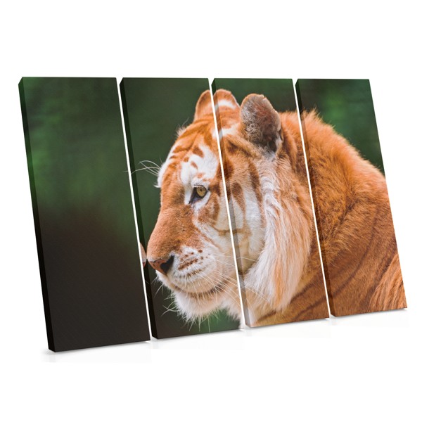 Tiger Portrait Canvas Print