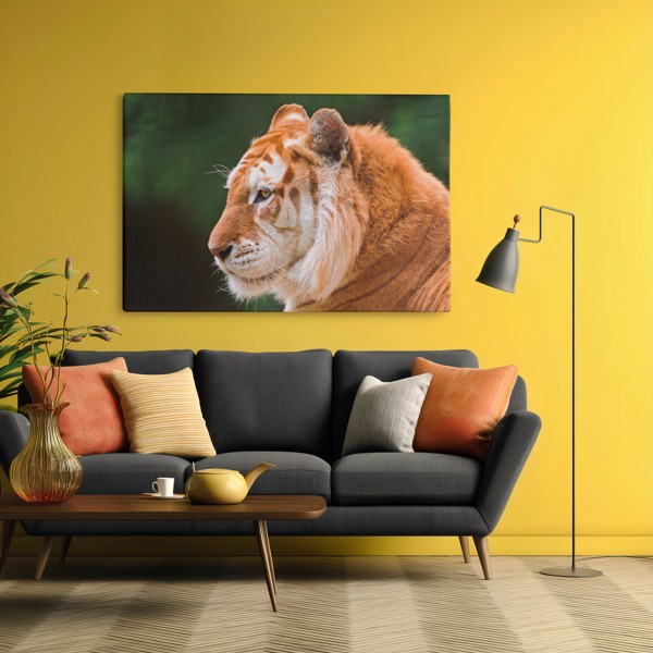 Tijgerportret Canvas Print - aan de muur in een interieur