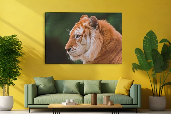 Tijgerportret Canvas Print - aan de muur in een interieur