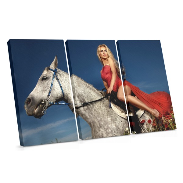 Girl with Horse Canvas Print
